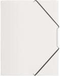 PAGNA A4 PP прозрачна гумена папка P2161319 (P2161319)
