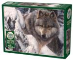 Cobble Hill Puzzle Cobble Hill cu 1000 de piese - Stăpânul Nordului (40026) Puzzle
