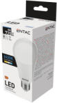 Entac LED Globe E27 15W CW 6400K - shopbazis