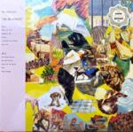 Sub Pop LP The Homesick: The Big Exercise LTD | CLR