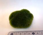 Hobbyplanet Muschi artificial decor- casute papusi diorame (M1124)