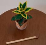 Hobbyplanet Planta exotica in ghiveci ceramica-miniatura papusi 1: 12 (CC75725_1)