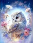 NORIMPEX - Puzzle Paint by numbers: Bufniță albă 40x50cm - 1 - 39 piese