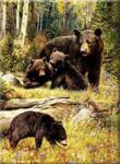 NORIMPEX - Puzzle Tablou Diamant: Urși într-un luminiș 30x40cm - 1 - 39 piese