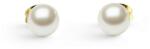 Daniel Wellington Дамски обеци Daniel Wellington перли Swarovski позлатени DW00401955 Daniel Wellington | Mnogotsveten | ЖЕНИ | UNI
