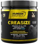 Human Protect Creasize | with 7 Forms of Creatine [300 грама] Лимон