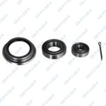 GSP Set rulment roata GSP GK1465 (GK1465)