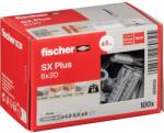 Fischer 568006 100 db 30 mm (568006)