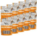 Dolina Noteci Recompense digestive câini pachet 10x100 g DOLINA NOTECI Smart Chews
