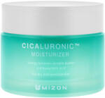 MIZON Cremă pentru față Cicaluronic Moisturizer - 50 ml