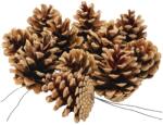  Star Home Decor fenyőtoboz dróton 5-8 cm natúr 5 db
