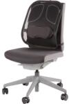 Fellowes Облегалката FELLOWES Professional Series Mesh 8029901 (8029901)