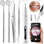 Berdsen Skaler ultrasonic pentru dinți cu cameră, 4 moduri de îndepărtare a tartrului, LED Berdsen BD-250 (J-325000)