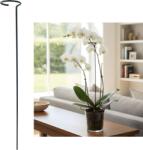 Garden Line Suport simplu pentru plante H 35 cm *7099 (CH-DEN7099)