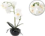 CHOMIK Floare Artificială - Orhidee Albă 30 cm (CH-HID4795)