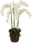 J-Line plantă artificială decorativă 60 x 53 x 104 cm 99KK-DRUZUF_MLC (12489)