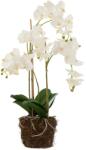 J-Line plantă artificială decorativă 32 x 32 x 75 cm 99KK-DRUZUG_MLC (12488)