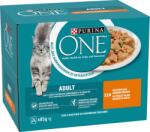 ONE Megapack Adult csirke és zöldbab 24 x 85 g - 2.040 g