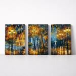 Makana Afremov: Esti séta - Többrészes számfestő, kerettel (50x120 cm)