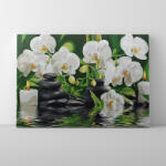 Makana Orchidea a vízen - Számfestő készlet, kerettel (40x50 cm)