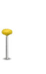 Saburrtooth Biax sculptura lemn SABURR - Cap 3/8" forma disc fin (32RS38-40)
