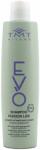 TMT Evo Shampoo Passion Liss 300 ml