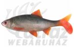 Fox Rage Ultra Natural Replicant Roach 14cm - Élethű Gumihal (NRE633)