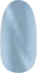 NiiZA Gel Polish 4ml - 564 Cat Eye