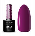 Claresa Hibrid körömlakk Make A Wish 04 szilvás lila 5ml (5903819823950)