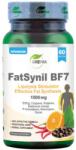 Grewia FatSynil BF7 | Lipolysis Stimulator [60 капсули]