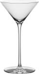 Orrefors Pahare de martini Orrefors x Björn Frantzén 130 ml, 2 buc (6402854) Pahar