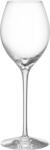 Orrefors Pahare de șampanie More 310 ml, 2 buc (6312415) Pahar