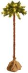 vidaXL Brad de Craciun cu LED-uri, 180 cm GartenMobel Dekor (347634)