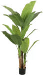 Alessandro Design Planta artificiala banan japonez 190 cm, 3 crengi, verde, fara ghiveci (AT1CT-SH1A-DRST-PA13/190)