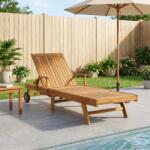 vidaXL Sezlong 1-persoana Maro Lemn solid de tec GartenMobel Dekor (42032668)
