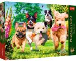 Trefl Puzzle Trefl 1000 piese Tea Time Premium Plus, multicolor, 12+ ani (10800) Puzzle