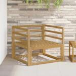 vidaXL Canapea Medie pentru Exterior Lemn Solid de Acacia Alb GartenMobel Dekor (3438993) Canapea