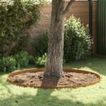 vidaXL Imprejmuire pentru gazon Ruginit 450 x 10 cm GartenMobel Dekor (868020)