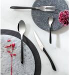 vidaXL Amefa Set de tacamuri 16 piese "Eclat", negru GartenMobel Dekor (443379) Tacam