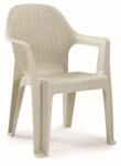 Iris GF-900 Polo műanyag rattan karfás szék