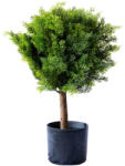 Műnövény Ciprus cserépben 60 cm (5a82035)