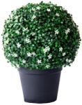  Műnövény gömb buxus cserépben virágzó, 42 cm (CCG1005)