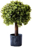  Műnövény Bukszus cserépben 60 cm (5a82405)