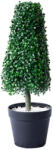  Műnövény gúla buxus cserépben kicsi, 64 cm (CCG1015)