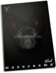 Pigna Moncromo Black Dog A5 sima notesz (P1111-0527) (P1111-0527) - mysoft