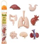 Safari Ltd Safari® Toob Organe umane 8 bucăți (S689304) Figurina