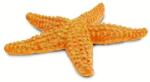 Safari Ltd Safari® Stea de mare (S276829) Figurina