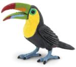 Safari Ltd Safari® Tucan (S264129) Figurina