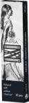Artea Astra, carbune de desen natural, 10 buc