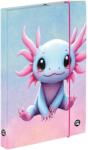 KARTON P+P A5 Axolotl füzettartó box (OXYBAG_3-77826)